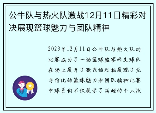 公牛队与热火队激战12月11日精彩对决展现篮球魅力与团队精神