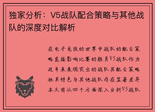 独家分析：V5战队配合策略与其他战队的深度对比解析