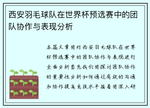 西安羽毛球队在世界杯预选赛中的团队协作与表现分析