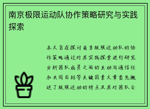 南京极限运动队协作策略研究与实践探索