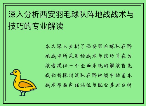 深入分析西安羽毛球队阵地战战术与技巧的专业解读
